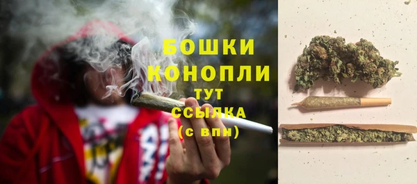 амф Богородицк