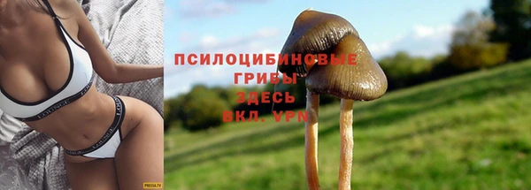 a pvp Богданович