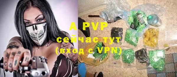 a pvp Богданович