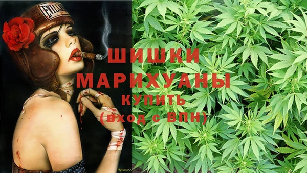 стафф Семикаракорск