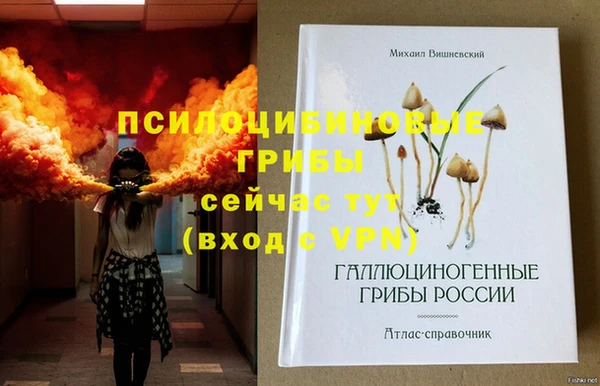 амф Богородицк