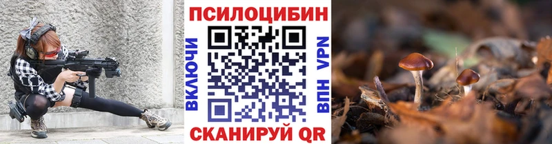 Псилоцибиновые грибы Psilocybine cubensis  гидра сайт  Светогорск  наркошоп 
